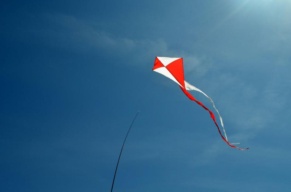 Letnie Święto Flagi - latawiec (fot. Centrum Kultury i Sztuki w Tczewie)