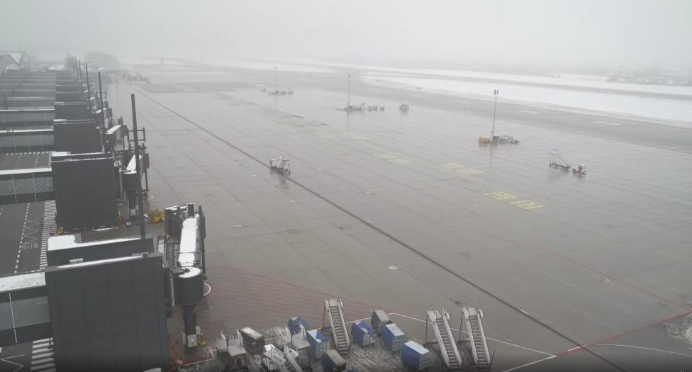 Port Lotniczy Gdańsk - widok na płytę przed terminalem zimą - mgła (fot. Port Lotniczy Gdańsk)