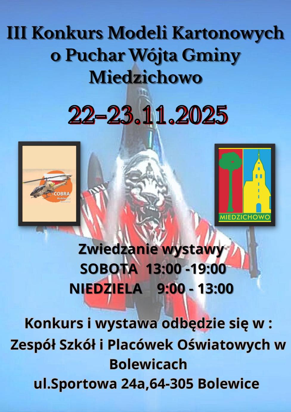 III Konkurs Modeli Kartonowych o Puchar Wójta Gminy Miedzichowo (fot. miedzichowo.pl)