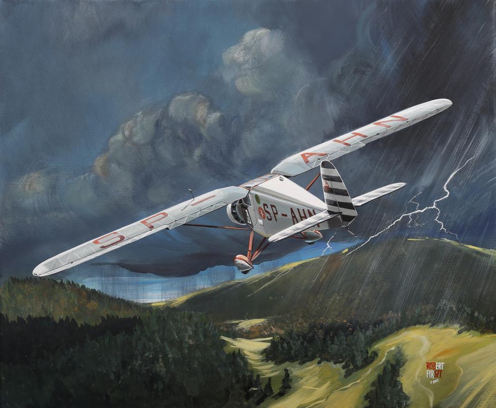 Skrzydła dla RWD, autor: Robert Firszt