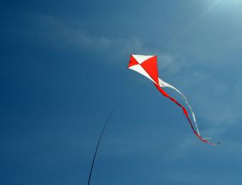 Letnie Święto Flagi - latawiec (fot. Centrum Kultury i Sztuki w Tczewie)