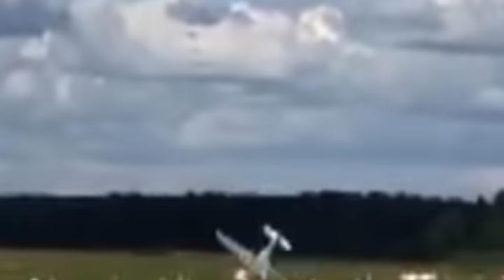 Zderzenie z ziemią samolotu Corvus Fusion, fot. youtube