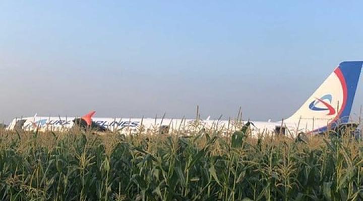 A321 Ural Airlines po awaryjnym lądowaniu, fot. GulfNews