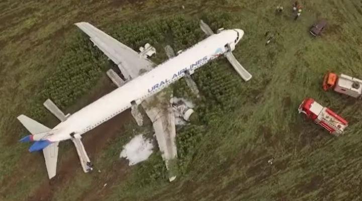 Wypadek A321 Ural Airlines, fot. flyhigh.news