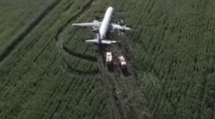 A321-100 po awaryjnym lądowaniu na polu kukurydzy niedaleko lotniska Żukowskij (fot. kadr z filmu na youtube.com)