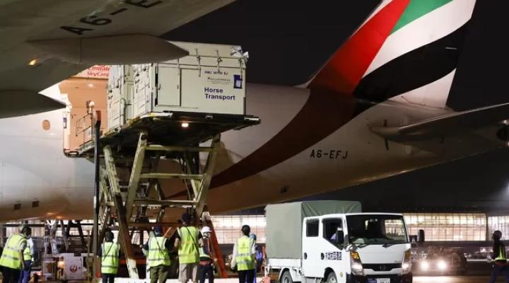 Załadunek cargo do B777 Emirates, fot Emirates 