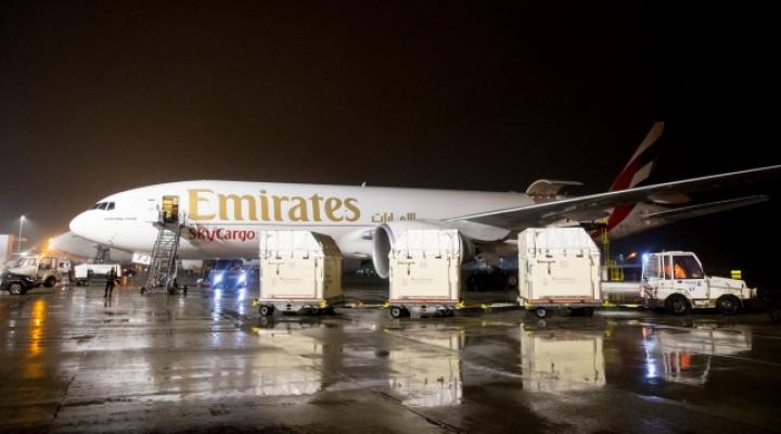 Boeing 777 cargo należący do Emirates na płycie lotniska nocą (fot. Emirates)