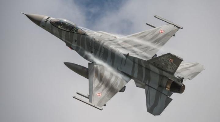 F-16 Polskich Sił Powietrznych w tygrysim malowaniu w locie - widok z góry (fot. kpt. Robert Filipczuk)