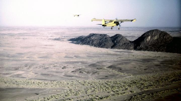 Gawrony nad Pustynią Nubiljską, fot. źródło: Lesław Karnst