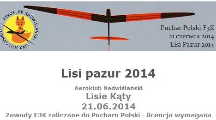 Zawody modelarskie Lisi Pazur 2014