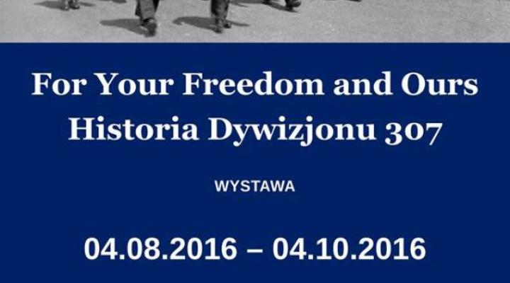 For Your Freedom and Ours. Historia Dywizjonu 307 – wystawa w MLP (fot. muzeumlotnictwa.pl)