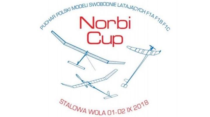 Puchar Polski Modeli Swobodnie Latających "Norbi Cup" w Stalowej Woli (fot. freeflight-krosno.vxm.pl)