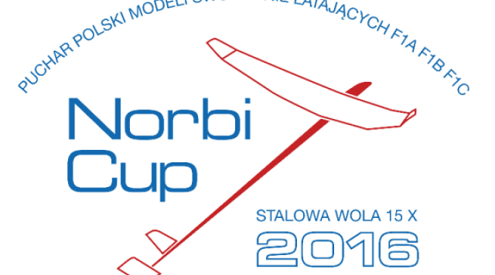 Ogólnopolskie Zawody Modeli Swobodnie Latających "Norbi Cup" w Turbi (fot. Aeroklub Stalowowolski)