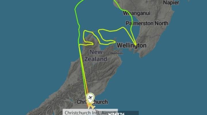 Ogromny ptak kiwi narysowany przez B789 należący do linii Air New Zealand (fot. radarbox.com)