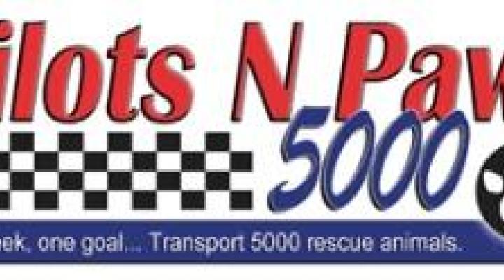 Pilots N Paws 5000
