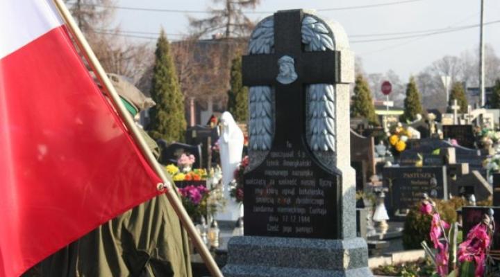 Uroczystości przy pomniku „Nieznanego Amerykańskiego Lotnika” (fot. brzeszcze.pl)