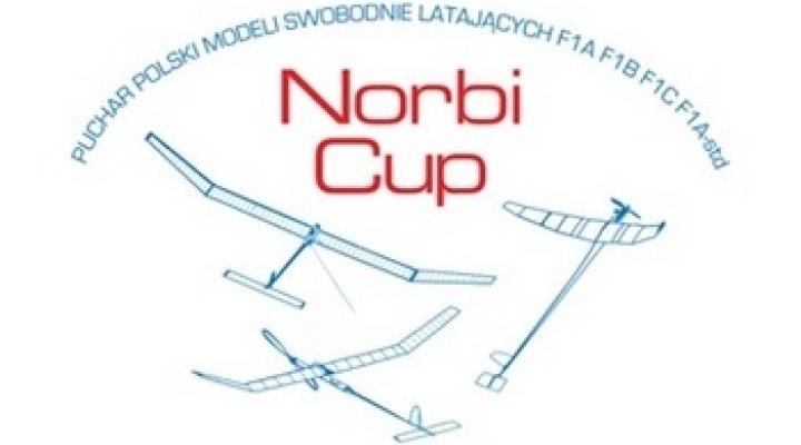 Ogólnopolskie Zawody Modeli Swobodnie Latających Norbi Cup (fot. freeflight-krosno.vxm.pl)