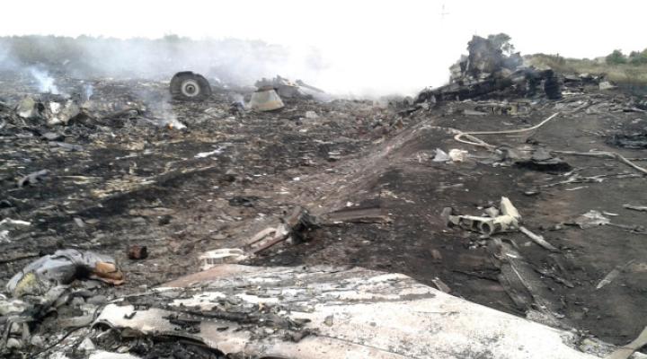 Katastrofa Malaysia Airlines (fot. tvn24.pl)