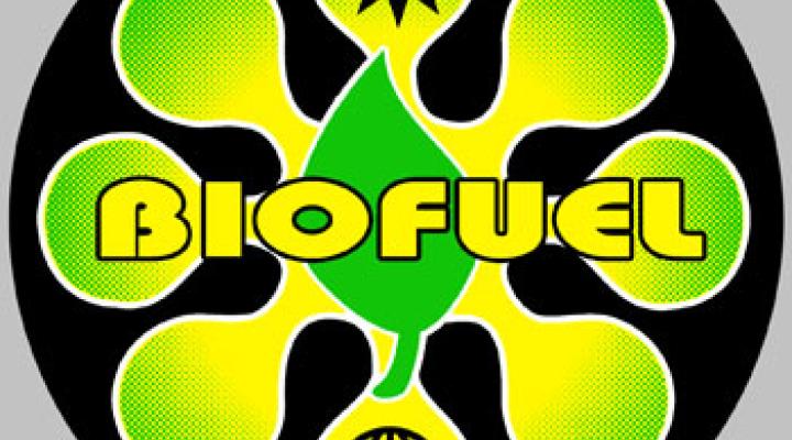 biofuel.jpg