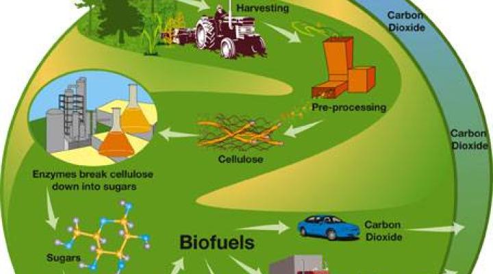 Biopaliwa, Źródło: www.doe.gov.ph