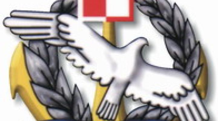 Logo Brygady Lotnictwa Marynarki Wojennej