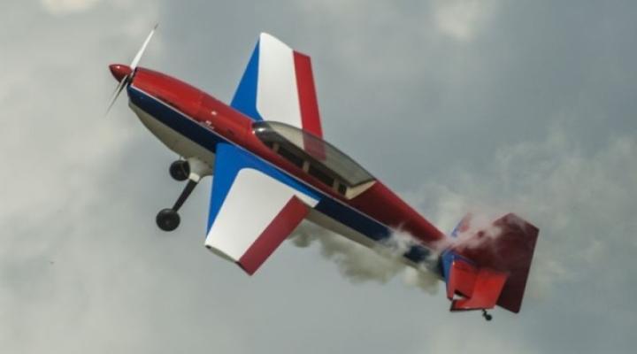 Model samolotu na Zlocie Gigantów  (fot. Tadeusz Kaluba)