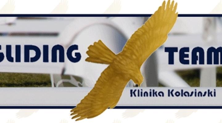 Gliding Team (logo)