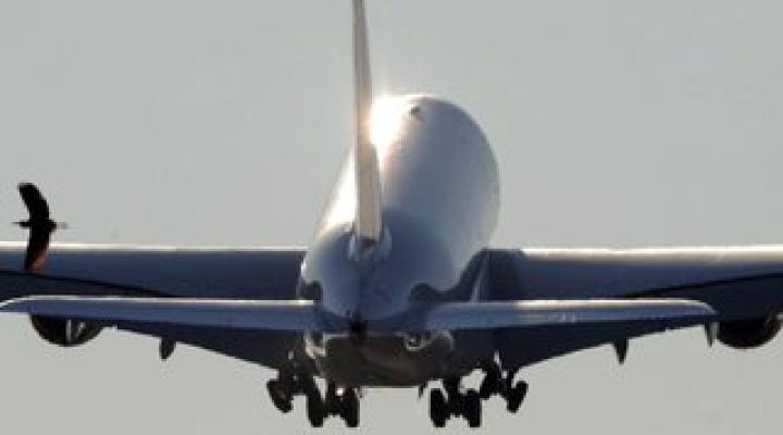 Zagraniczne linie lotnicze zawieszają połączenia z Tel Awiwem (fot. PAP/EPA )