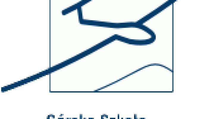 GSS Żar logo