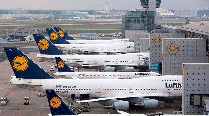 Samoloty należące do Lufthansy na lotnisku we Frankfurcie