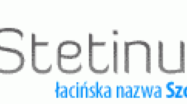 stetinum.pl
