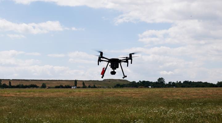 Dron w locie nad łąką (fot. cedd.pl)