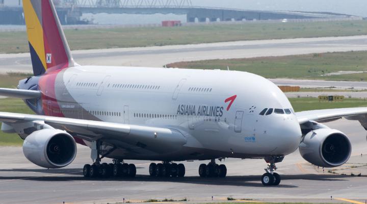 A380 należący do Asiana Airlines na lotnisku Kansai (fot. lasta29, CC BY 2.0, Wikimedia Commons)