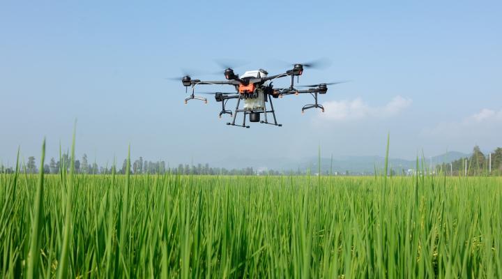 Dron nad polem z uprawami (fot. Akademia Nauk Stosowanych w Pile)