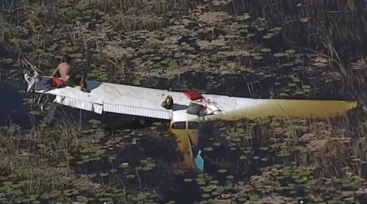 Wrak Cessny 172, która rozbiła się na Florydzie, fot. youtube