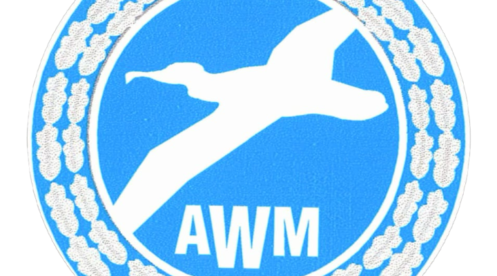 Odznaka "Zasłużony dla Aeroklubu Warmińsko-Mazurskiego" (fot. Aeroklub Warmińsko-Mazurski)