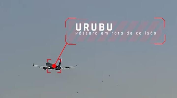 Bird Strike po starcie z lotniska Sao Paulo, fot. kadr youtube