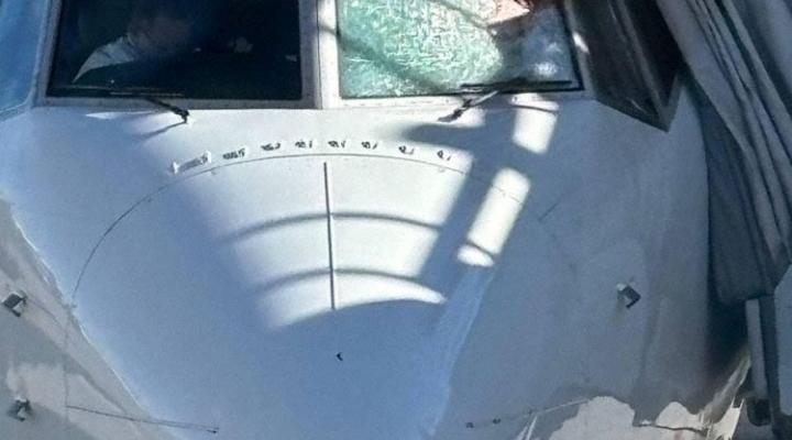 Bird strike B737-8 MAX w Toronto, fot. avherald
