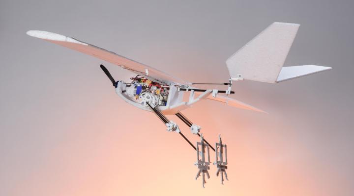 RAVEN (Robotic Avian-inspired Vehicle for multiple ENvironments) w locie (fot. Alain Herzog CC BY SA)