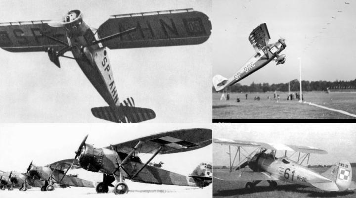 Samoloty RWD-6, RWD-9, Lublin R-XIII, PWS-26 (fot. Kagero Publishing)