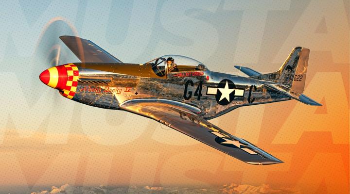 P-51 Mustang na Antidotum Airshow Leszno 2025 (fot. Antidotum Airshow Leszno)