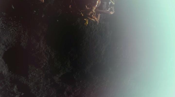 Pierwsze zdjęcie zrobione przez lądownik księżycowy Blue Ghost firmy Firefly, po lądowaniu w Mare Crisium na Księżycu (fot. Firefly Aerospace)