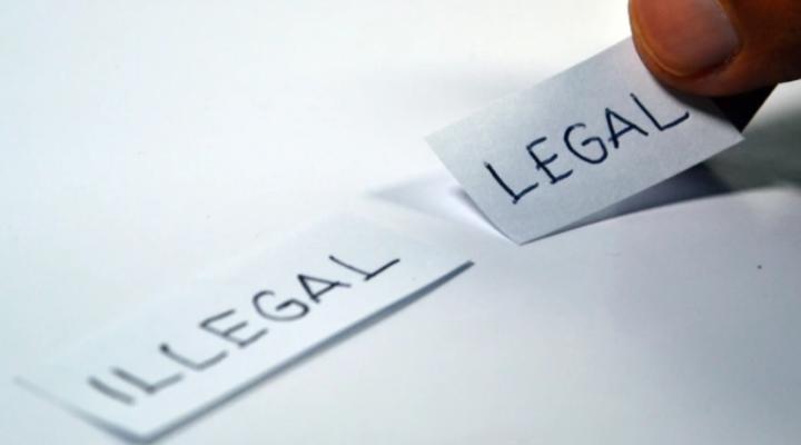 Legal_illegal_Mikołaj _Doskocz