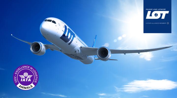 Polskie Linie Lotnicze LOT uzyskały prestiżowy certyfikat IATA CEIV Live Animals (fot. PLL LOT)