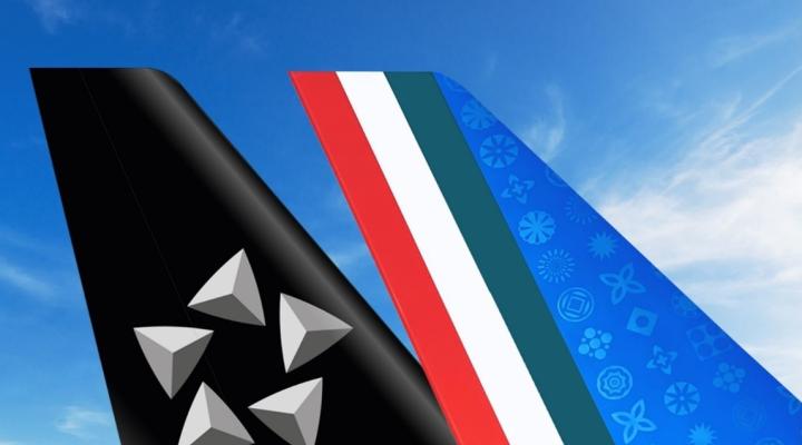 Star Alliance i ITA Airways - logo na ogonach (fot. Star Alliance)