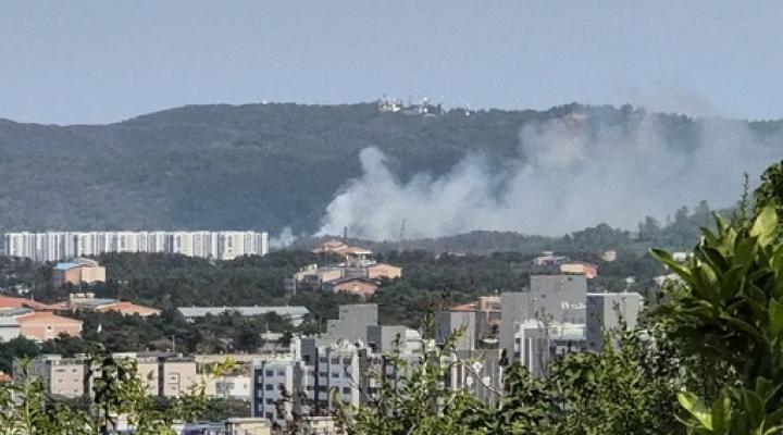 Katastrofa P-3C koreańskiej marynarki wojnnej, fot. mystateline