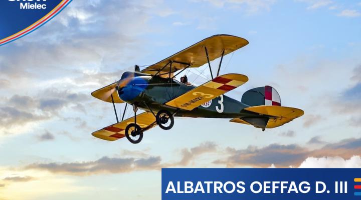 Replika myśliwca Albatros Oeffag D.III na Airshow Mielec 2025 (fot. Wojciech Pomper)