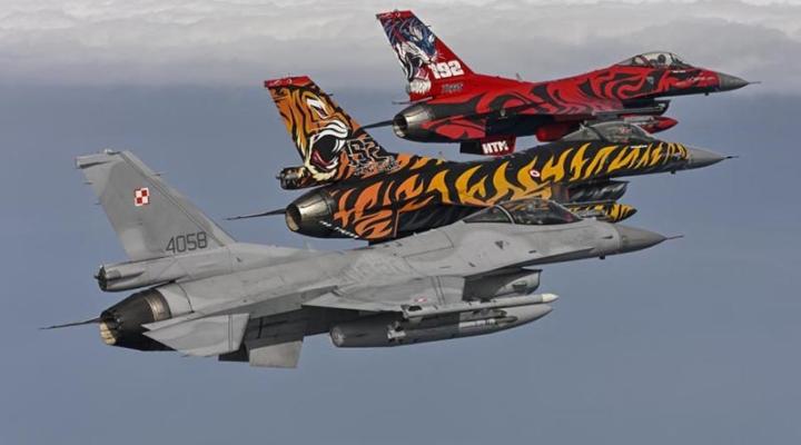 NATO Tiger Meet - trzy samoloty (fot. Kastuhiko Tokunaga, NTA)