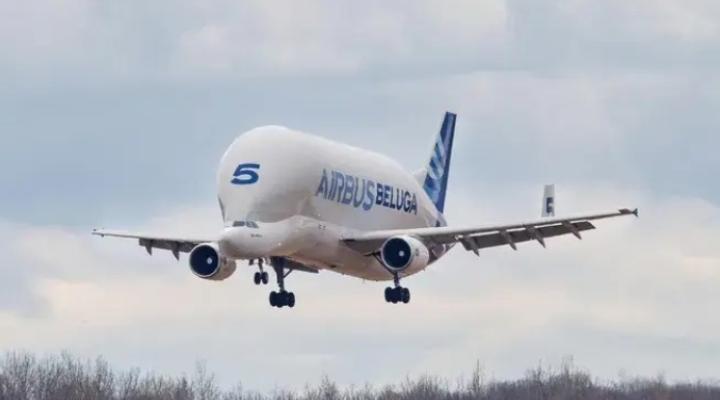 Beluga ST, fot. Airbus
