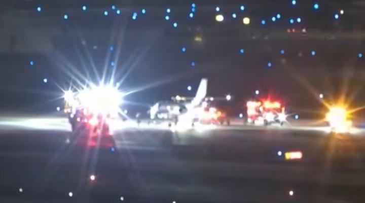 Zderzenie Cessny Citation ze zwierzętami na pasie, fot. kadr YouTube